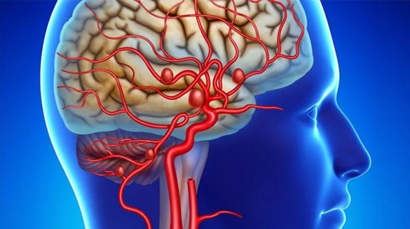 尊龙凯时登录首页(中国)官方网站